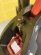 Kaabo Wolf Warrior 11 Plus - ridden for 4 km